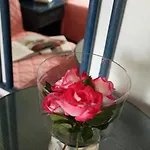 호텔 Abbazia 4*