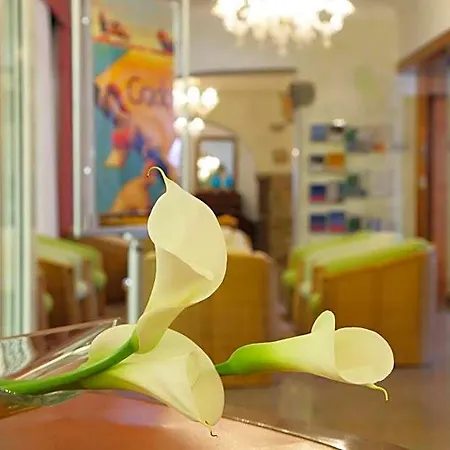 Abbazia 4* גראדו